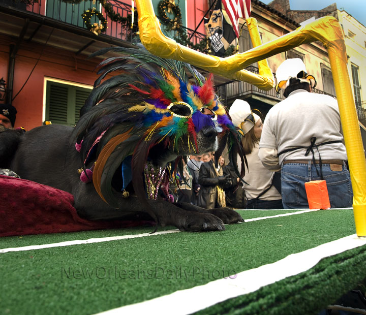 mardi gras football game